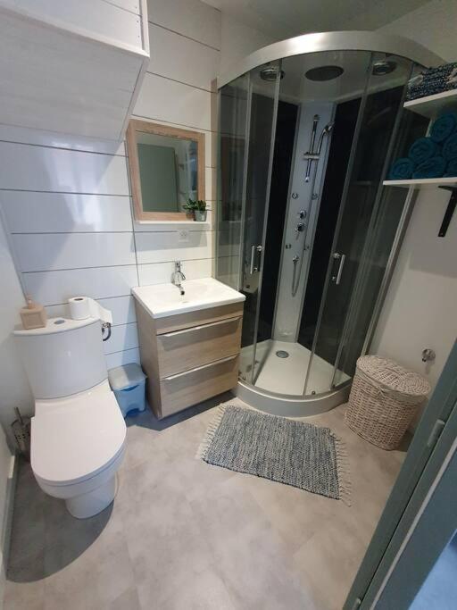 Roanne Centre, Appartement Refait A Neuf. Ngoại thất bức ảnh
