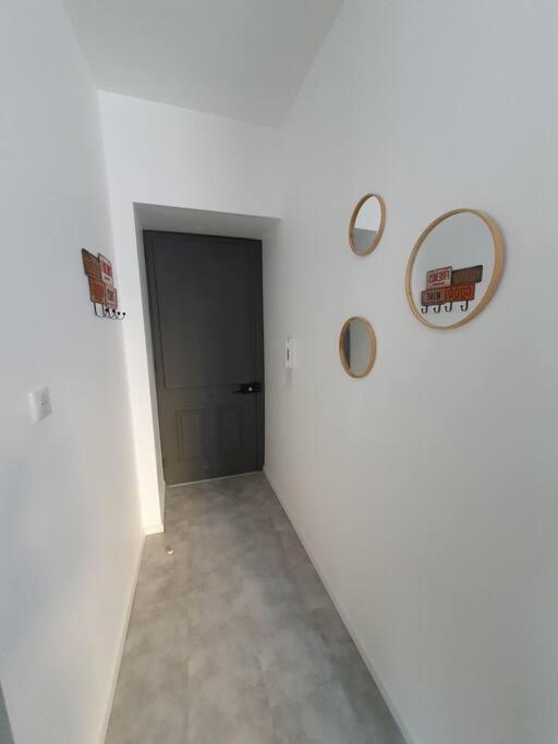 Roanne Centre, Appartement Refait A Neuf. Ngoại thất bức ảnh