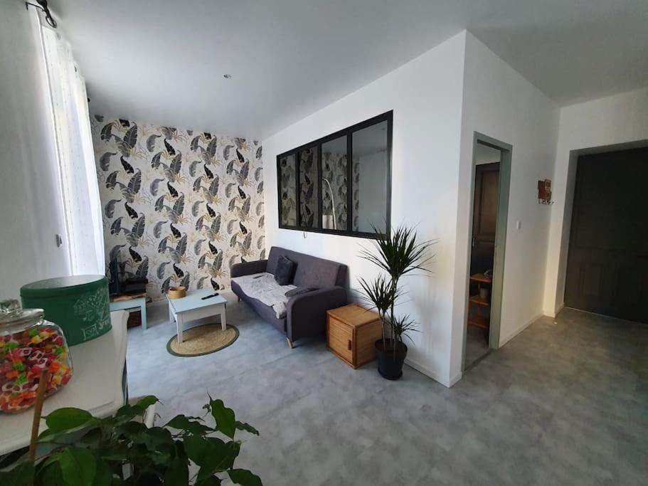 Roanne Centre, Appartement Refait A Neuf. Ngoại thất bức ảnh